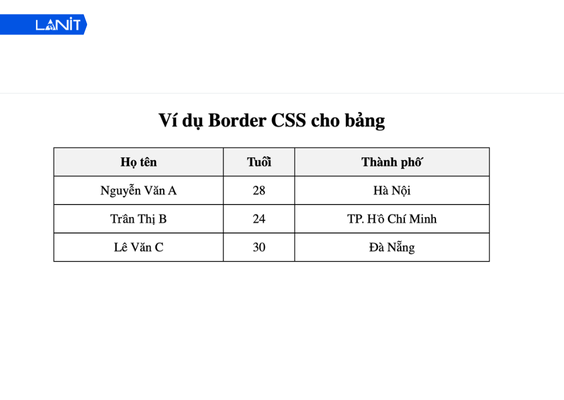 Các đường viền trong bảng được thu gọn, tạo cảm giác gọn gàng và dễ nhìn hơn.