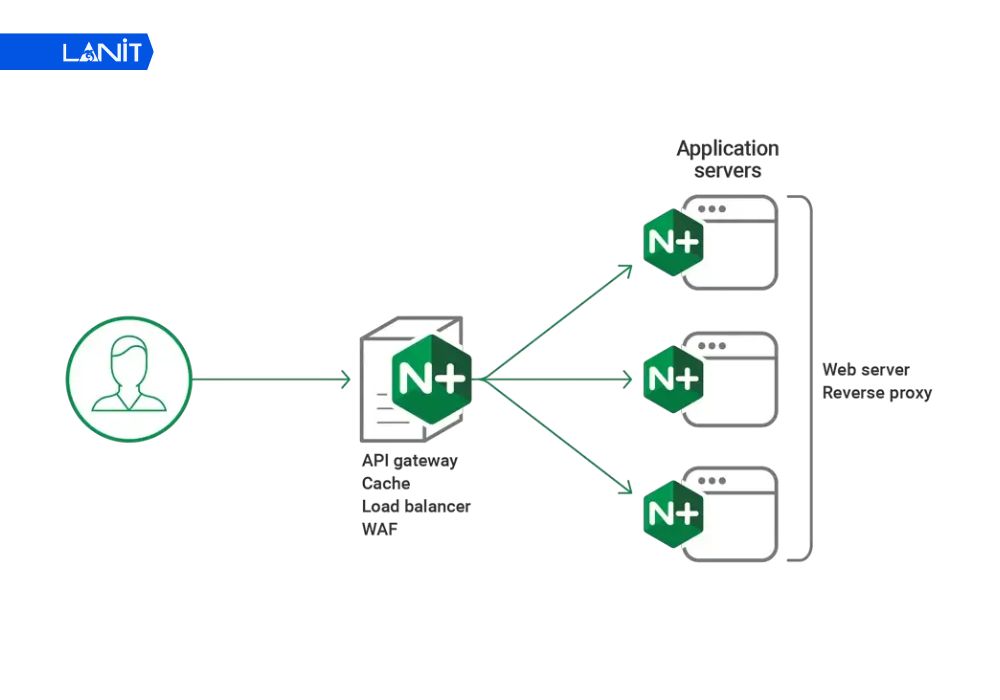 C&agrave;i đặt Web Server Software