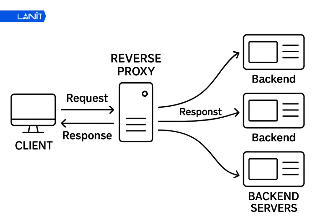Sử dụng dịch vụ Proxy ngược v&agrave; CDN