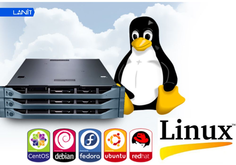 Linux Server l&agrave; g&igrave;?