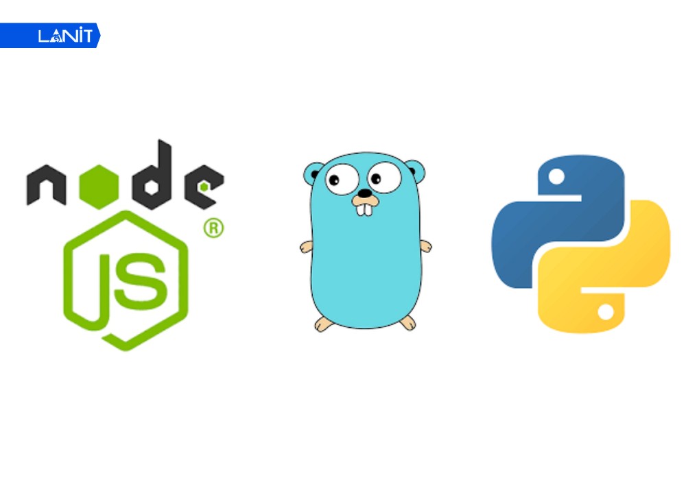 Đối với Ứng dụng Modern (Node.js, Python, Go)