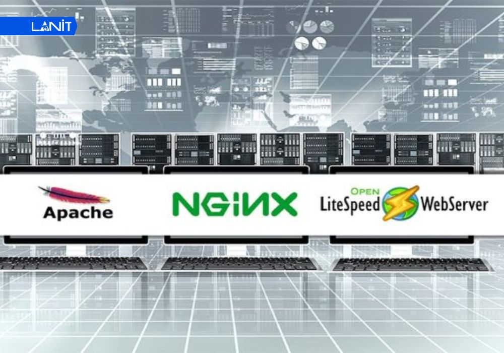 Phần mềm Web Server (Web Server Software)