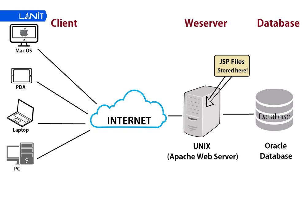 Web Server