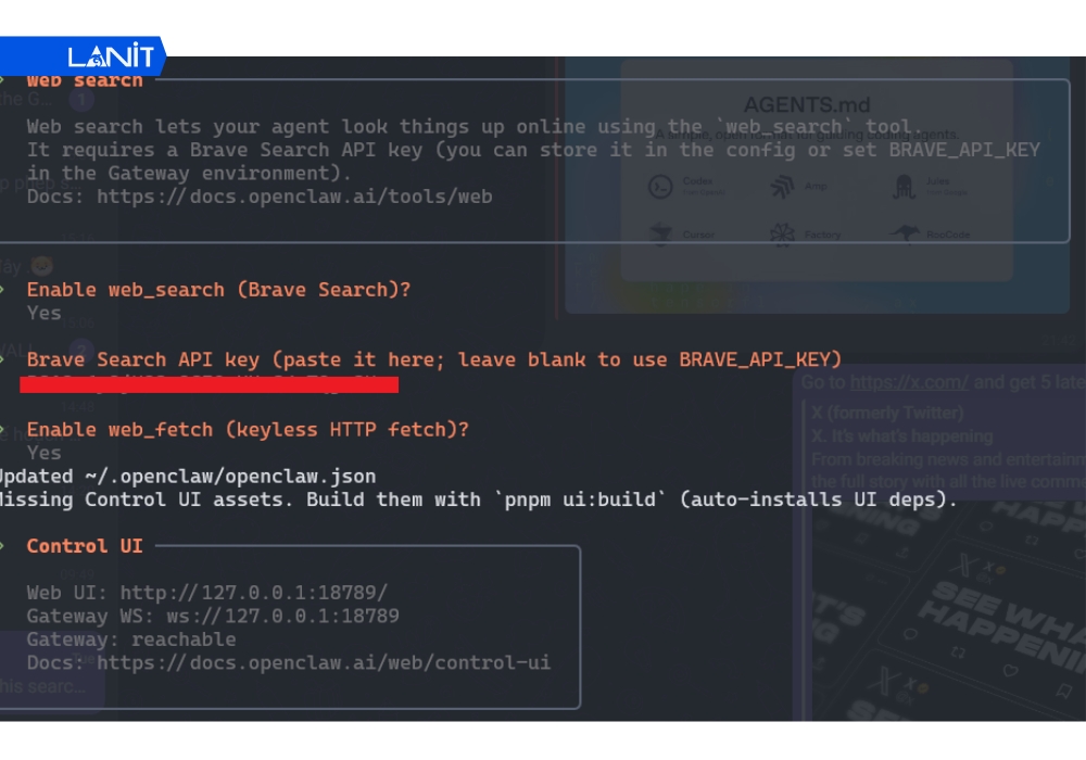 C&aacute;c bước k&iacute;ch hoạt Web Search cho OpenClaw