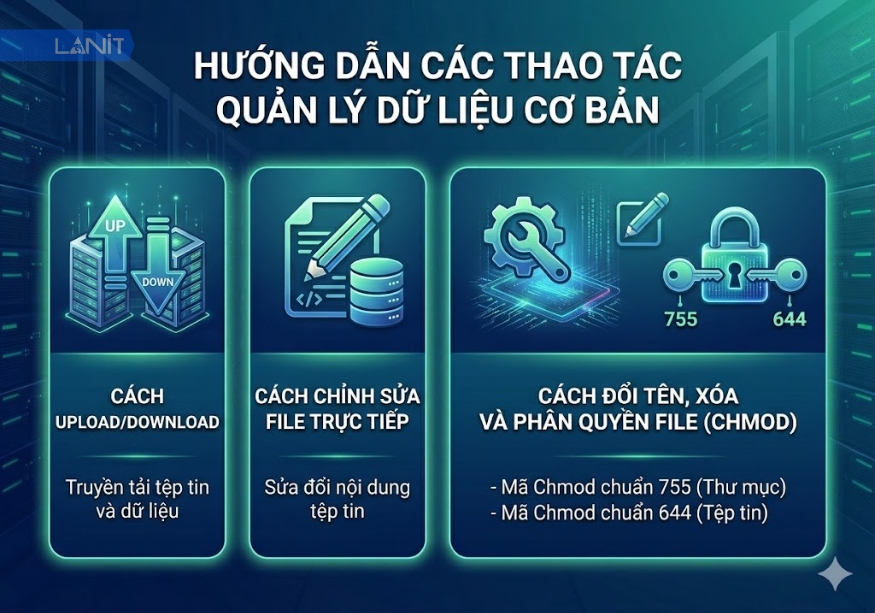 Hướng dẫn các thao tác quản lý dữ liệu cơ bản