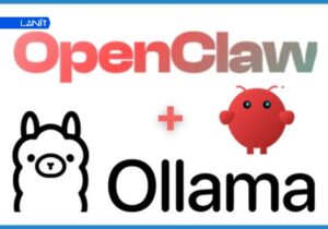 Huong Dan Cai Dat Openclaw Ket Hop Voi Ollama