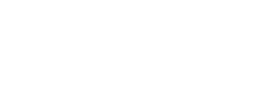 Lanit Logo White