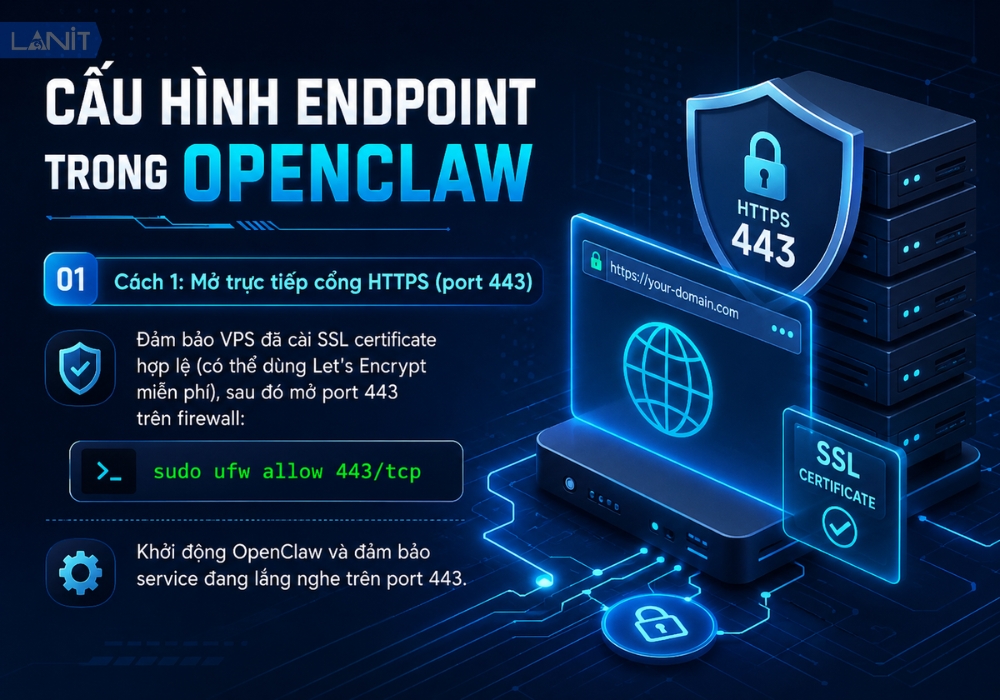 Cấu h&igrave;nh Endpoint trong OpenClaw