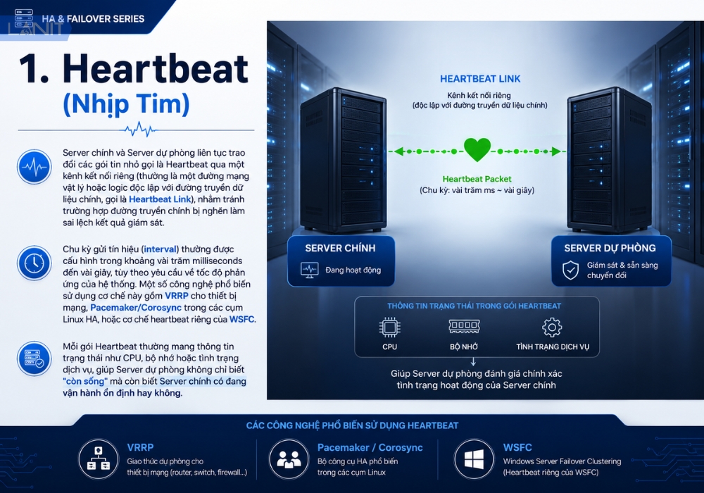 heartbeat