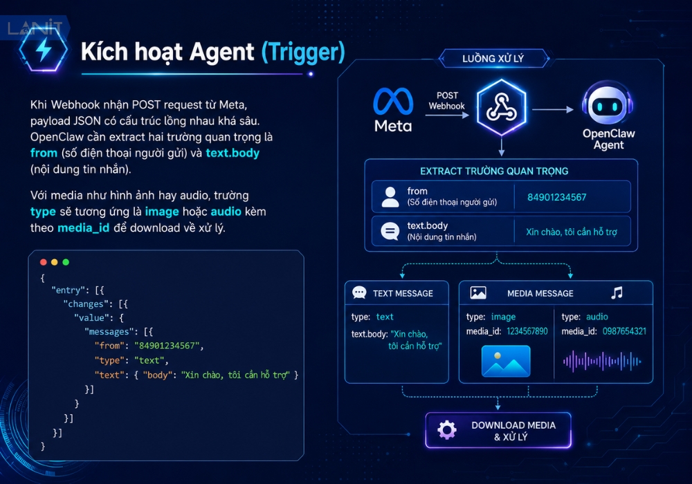 Kich Hoat Agent