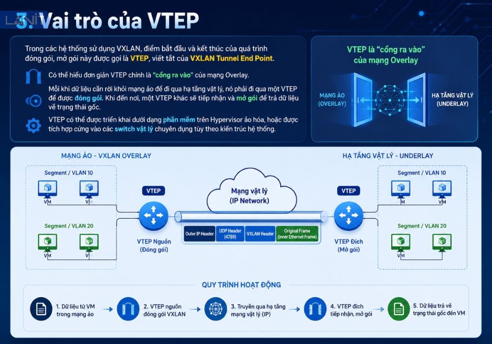 vai-tro-cua-vtep