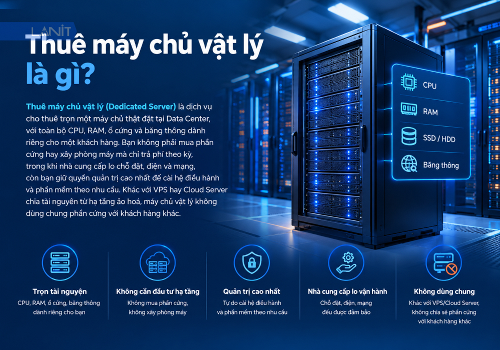 thue-may-chu-vat-ly